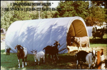 goat shelter