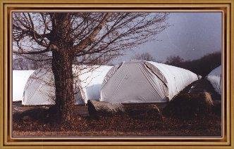 portable greenhouses